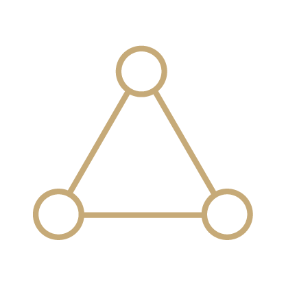 Community Connection Icon
