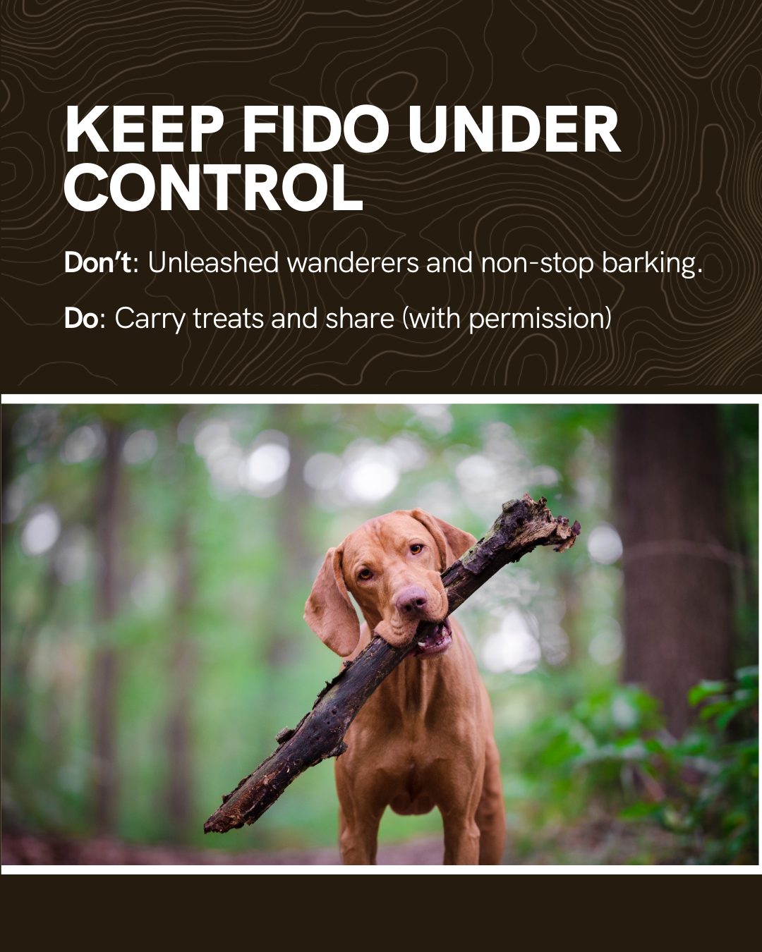 A brown dog holds a large stick in its mouth in a forest. Text above reads: “KEEP FIDO UNDER CONTROL. Don’t: Unleashed wanderers and non-stop barking. Do: Carry treats and share (with permission).”.